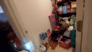 Fogging Services Covina Ca