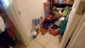 Fogging Services Downey Ca