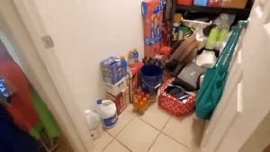 Fogging Services El Segundo Ca