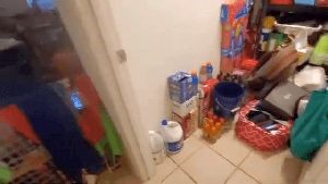 Fogging Services Glendale Ca