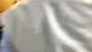 Fogging Services Hawthorne Ca