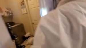 Fogging Services Lakewood Ca