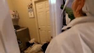 Fogging Services La Mirada Ca