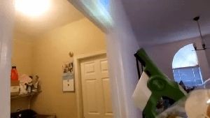 Fogging Services La Verne Ca