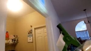 Fogging Services Lawndale Ca