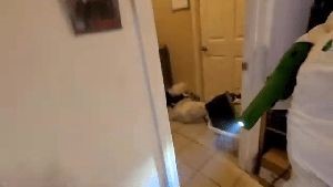 Fogging Services Montebello Ca