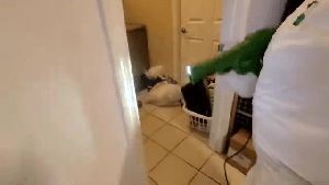 Fogging Services Palmdale Ca