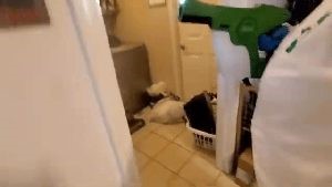 Fogging Services Paramount Ca