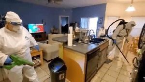 Fogging Services Vernon Ca