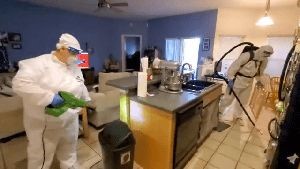 Fogging Services West Hollywood Ca