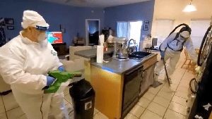 Fogging Services La Palma Ca