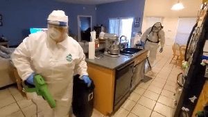 Fogging Services Orange Ca