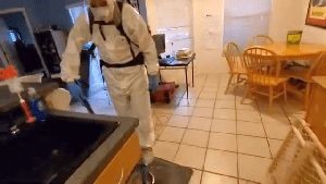 Fogging Services La Quinta Ca