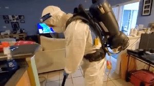 Sanitizing Services Avalon Ca