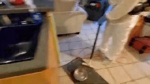 Sanitizing Services El Monte Ca