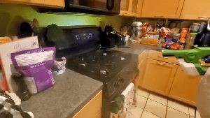 Sanitizing Services Malibu Ca