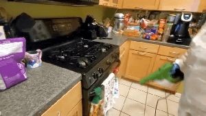 Sanitizing Services Brea Ca