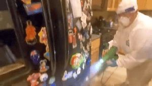 Sanitizing Services Mt Baldy Ca