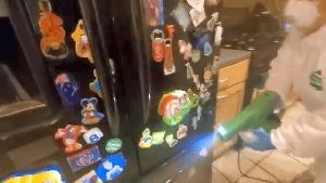 Sanitizing Services Redlands Ca