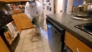 Disinfection Services