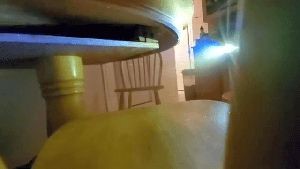 Disinfection Services Los Alamitos Ca