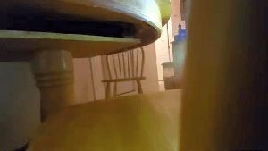 Disinfection Services Newport Coast Ca