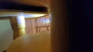 Disinfection Services Bloomington Ca