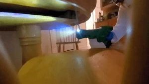 Disinfection Services Guasti Ca