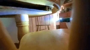 Disinfection Services Yucaipa Ca