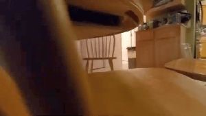 Disinfection Services Hemet Ca