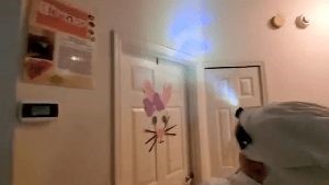 Disinfection Services Winchester Ca