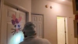 Disinfecting and Sanitizing Companies Avalon Ca