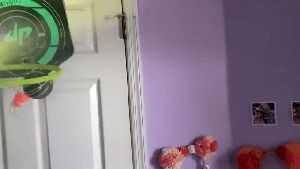 Disinfecting and Sanitizing Companies La Habra Ca