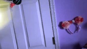 Disinfecting and Sanitizing Companies Chino Ca