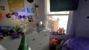 Disinfectant Companies Avalon Ca