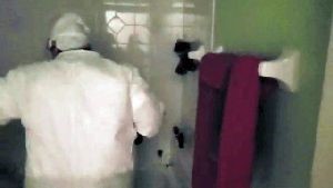 Disinfectant Company Malibu Ca