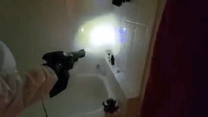 Disinfectant Company Mt Baldy Ca