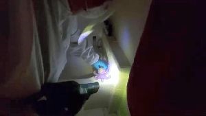 Disinfectant Company Murrieta Ca