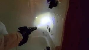 Disinfecting Companies Avalon Ca