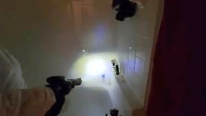 Disinfecting Companies Bell Ca