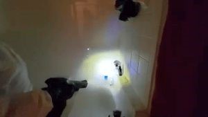 Disinfecting Companies Bellflower Ca