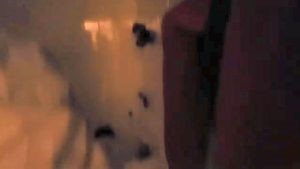 Disinfecting Companies Cudahy Ca