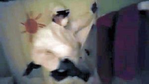 Disinfecting Companies Hawthorne Ca