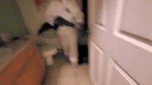 Disinfecting Companies Maywood Ca