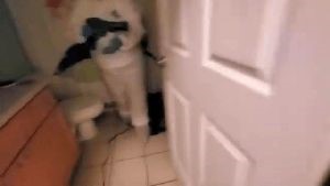 Disinfecting Companies Monrovia Ca