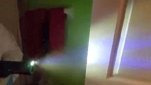 Disinfecting Companies Bloomington Ca