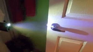 Disinfecting Companies Fontana Ca