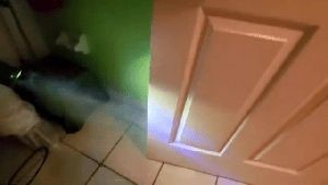 Disinfecting Companies Highland Ca