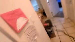 Disinfecting Companies Whitewater Ca