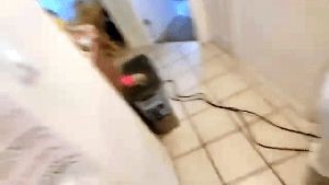 Disinfecting Company Alhambra Ca